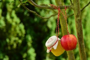 apple jam hanging